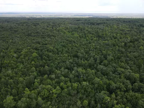 tbd Highway 2, Maple, WI 54854 photo 8