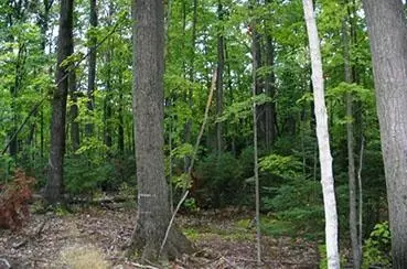 tbd Highway 2, Maple, WI 54854 photo 5