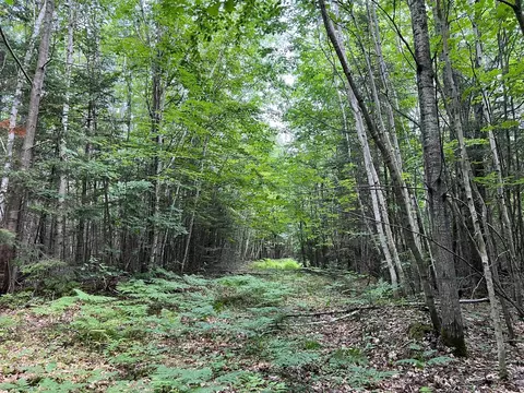 tbd Highway 2, Maple, WI 54854