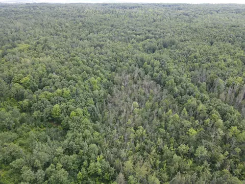 tbd Highway 2, Maple, WI 54854 photo 9
