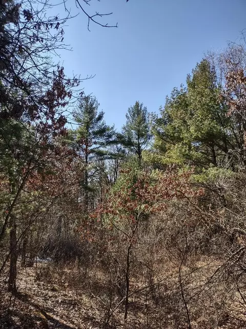 lot S 414243 S Red Pine Trl, Brockway Twp, WI 54615