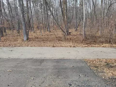 9 84 Ac Co Rd 77, Nisswa, MN 56468