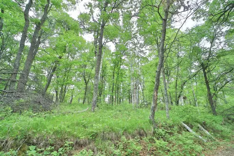 tbd Timber Ridge Dr, Baxter, MN 56425 photo 2