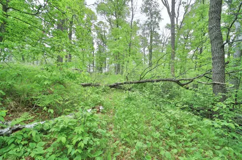 tbd Timber Ridge Dr, Baxter, MN 56425 photo 5