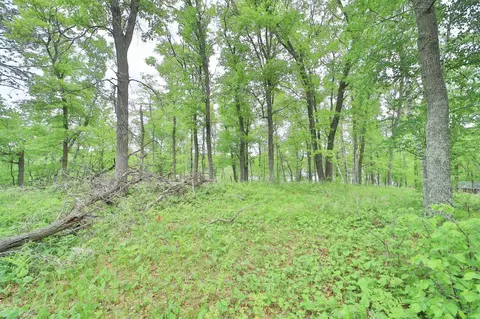 tbd Timber Ridge Dr, Baxter, MN 56425 photo 6