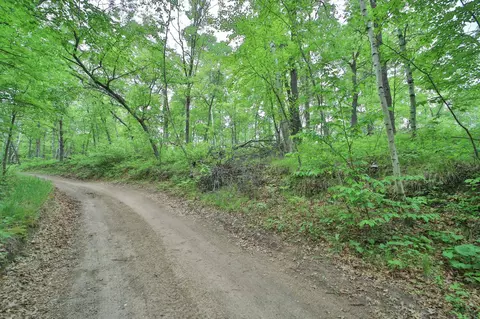 tbd Timber Ridge Dr, Baxter, MN 56425 photo 3