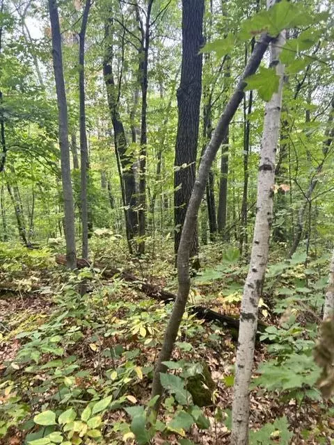 Nnn Lake Camile/lost Lake, Cushing, MN 56443