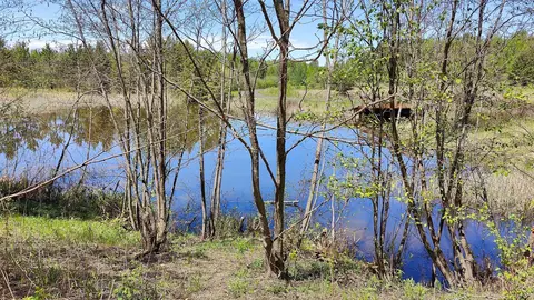 80086 Gruban Cir, Tower, MN 55790 photo 7