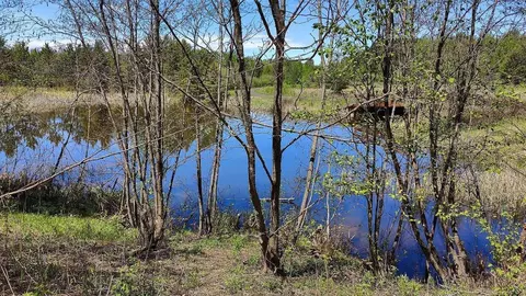 80086 Gruban Cir, Tower, MN 55790 photo 15