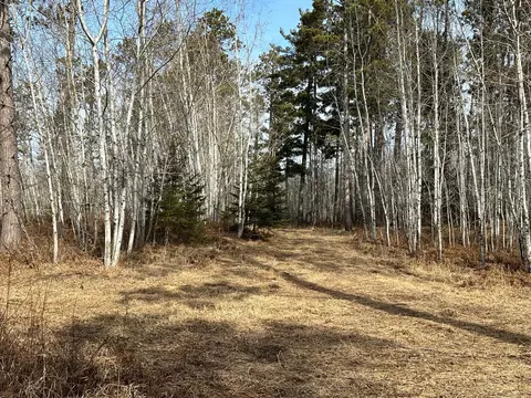 tbd Nebish Rd NE, Tenstrike, MN 56683