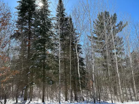 tbd 36th St NW, Akeley, MN 56433