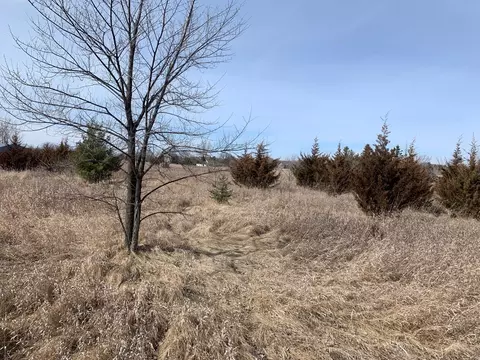 Exterior - 18146 Fieldcrest Rd, Cold Spring, MN 56320 photo 23 of 32