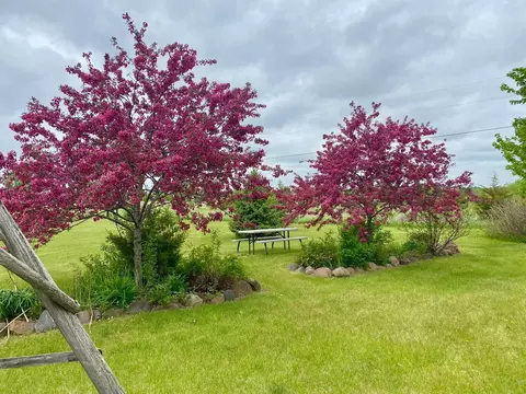 Exterior - 18146 Fieldcrest Rd, Cold Spring, MN 56320 photo 17 of 32