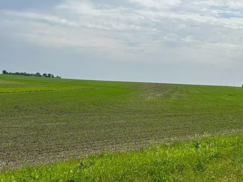 Nnnn 300th St, Pleasant Valley Twp, MN 55936