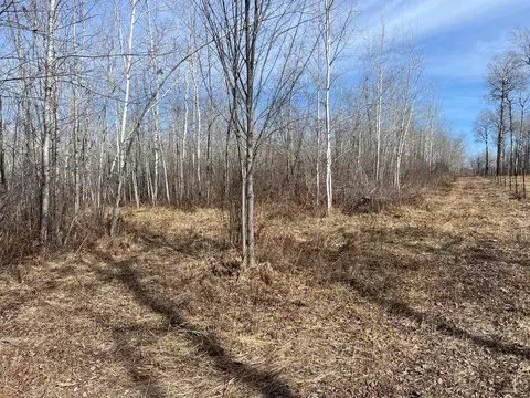 000 Lost Fawn, Arlone Twp, MN 55037