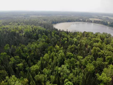 44192 Pioneer Rd, Windemere Twp, MN 55783