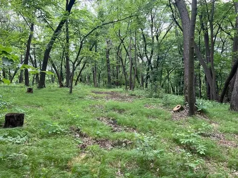 lot16 Turtle Bay Ln, Perham Twp, MN 56573