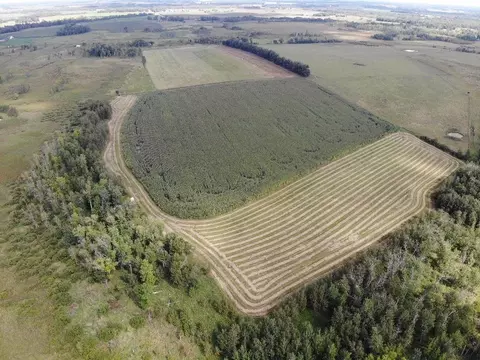 tbd County 77, Verndale, MN 56481