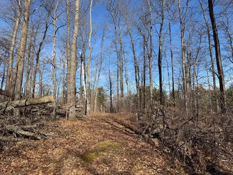 tbd Marble Dr, Cushing, MN 56475