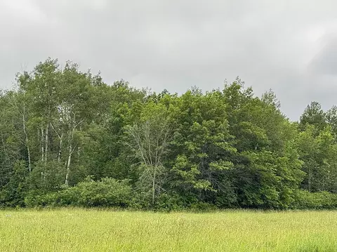 Other - 16335 County Road 2, Brainerd, MN 56401 photo 5 of 21
