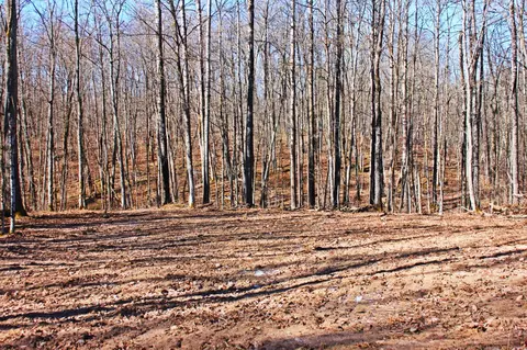 w2352 Eagle Road, Sarona, WI 54870
