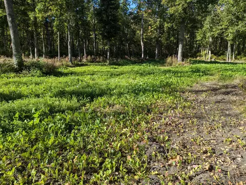 tbd County 47 NE, Longville, MN 56655