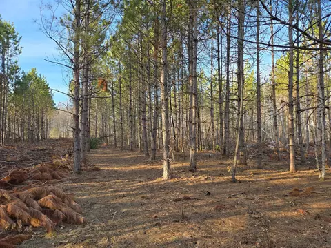lot2 County Rd S, Wheeler, WI 54772