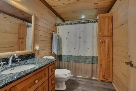 Bath - 6258 State 87 SW, Deerfield Twp, MN 56435 photo 5 of 5
