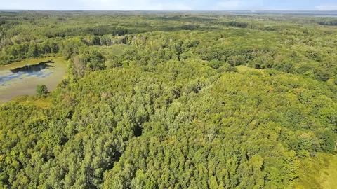 View/Area - 6258 State 87 SW, Deerfield Twp, MN 56435 photo 10 of 12