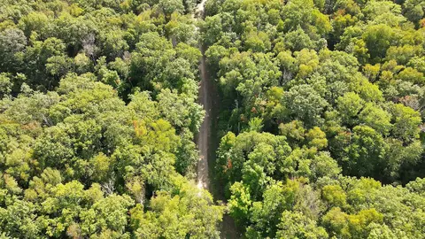 View/Area - 6258 State 87 SW, Deerfield Twp, MN 56435 photo 3 of 12