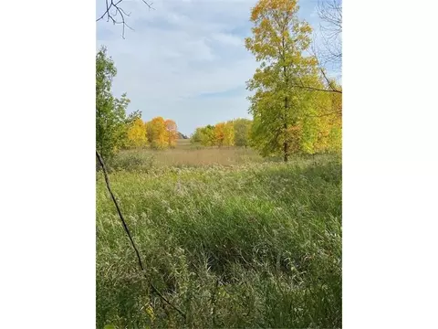 tbd 210th St, Cold Spring, MN 56320 photo 25