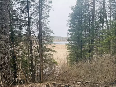 28393 Sunrise Cir, Peace Twp, MN 55007