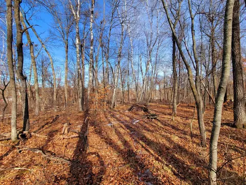 tbd Hillside Pass Dr NE, Breezy Point, MN 56472