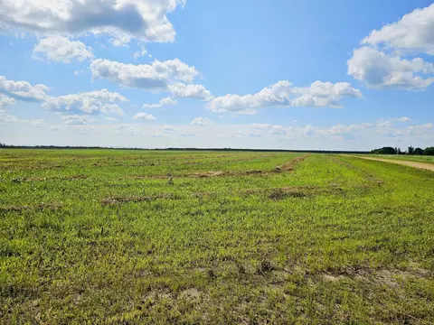 335 Nn Co Hwy 77 D, Wadena, MN 56482