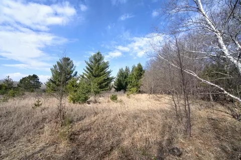 tbd Pacer Loop, Browerville, MN 56438 photo 3