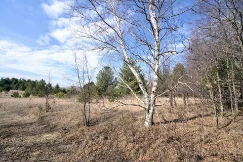 tbd Pacer Loop, Browerville, MN 56438 photo 4