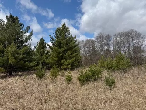 tbd Pacer Loop, Browerville, MN 56438 photo 15