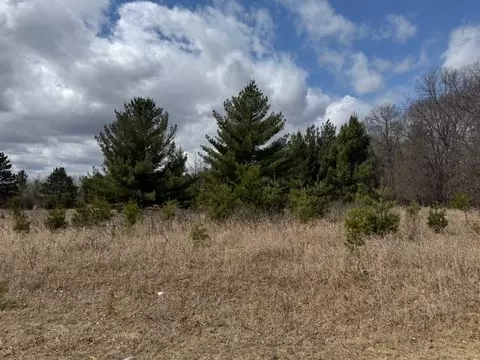 tbd Pacer Loop, Browerville, MN 56438 photo 12