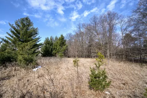 tbd Pacer Loop, Browerville, MN 56438 photo 2