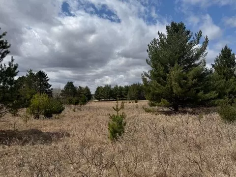 tbd Pacer Loop, Browerville, MN 56438 photo 14
