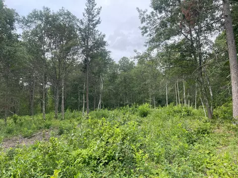 lot4 Patriot Ave, Pequot Lakes, MN 56472