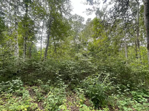 lot1 Patriot Ave, Pequot Lakes, MN 56472