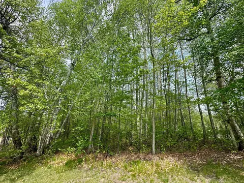 Other - 11585 Whitetail Ridge Rd, Brainerd, MN 56401 photo 5 of 6