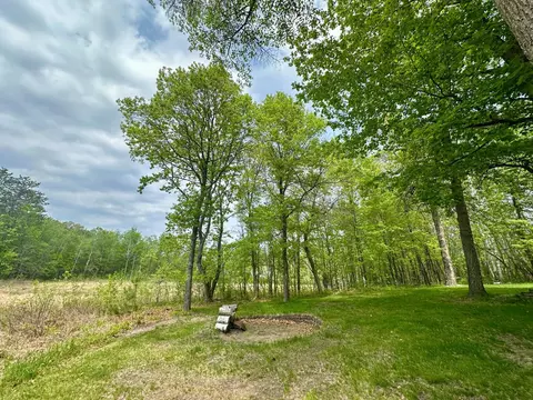 Exterior - 11585 Whitetail Ridge Rd, Brainerd, MN 56401 photo 7 of 13