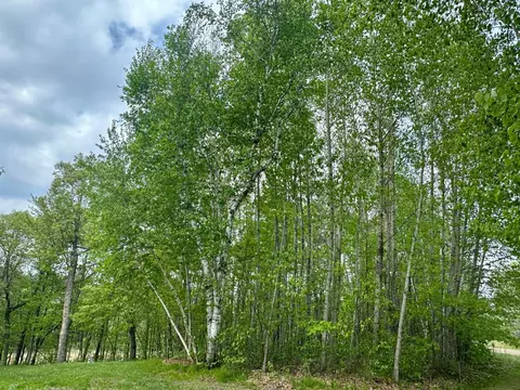 Other - 11585 Whitetail Ridge Rd, Brainerd, MN 56401 photo 2 of 6