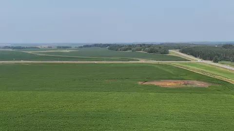 0000 County 61, Browerville, MN 56438