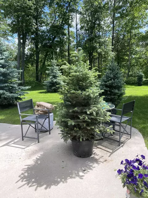 3705 Sanctuary Ct, Brainerd, MN 56401 photo 32