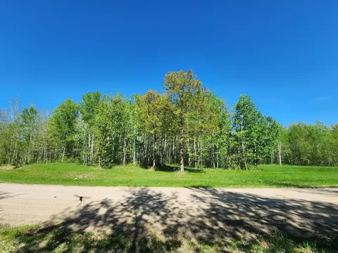 tbd Bear Tract Ln NE, Longville, MN 56655