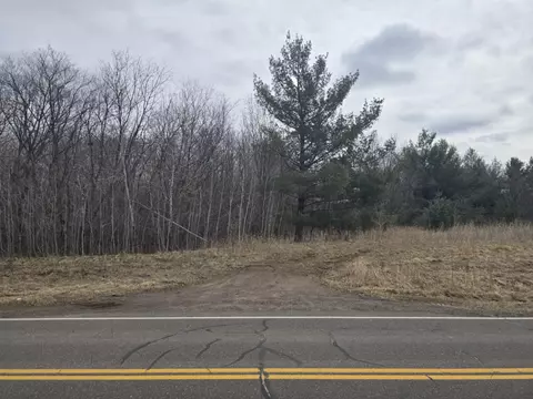 tbd Skogman Lake Rd, Harris, MN 55032