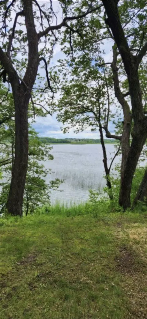 30216 Douglas Dr, Burnhamville Twp, MN 56336